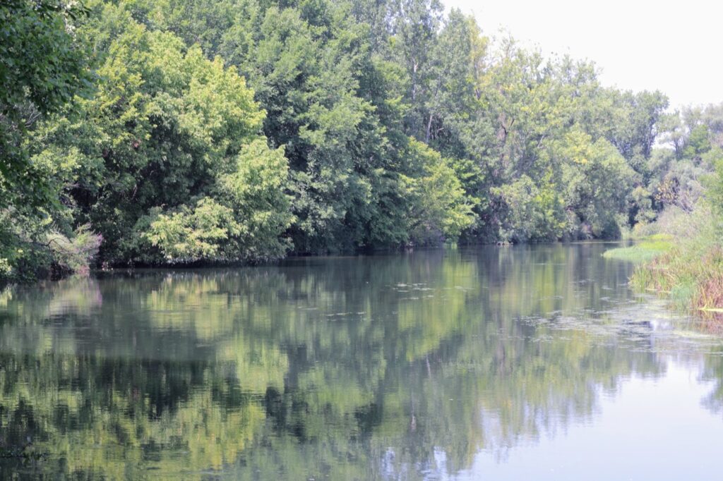 Галерия на Река Голяма Камчия